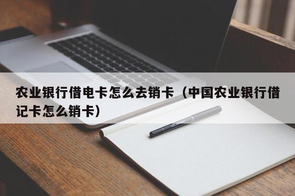 农业银行借电卡怎么去销卡(中国农业银行借记卡怎么销卡)