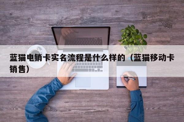 蓝猫电销卡实名流程是什么样的(蓝猫移动卡销售)
