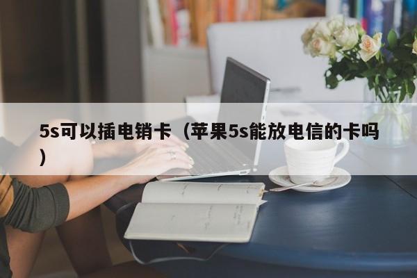 5s可以插电销卡（苹果5s能放电信的卡吗）
